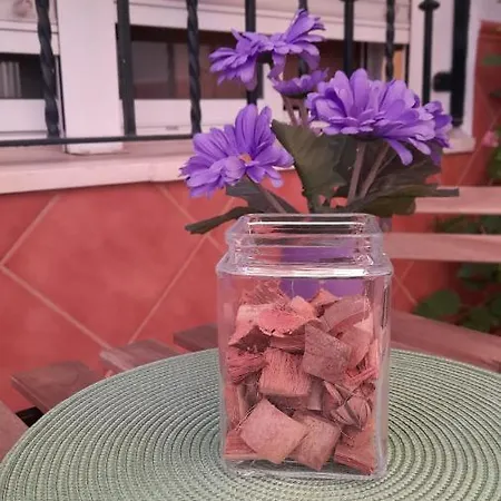 Casa Flamenca Holiday home Castilleja de la Cuesta