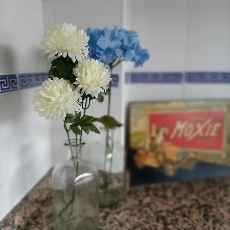 בית נופש Casa Flamenca *